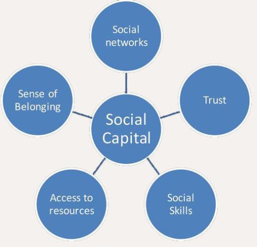 sosial_kapital_large